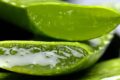 Beneficios del Aloe Vera y propiedades curativas